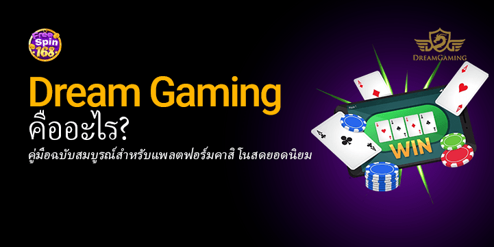 What Is Dream Gaming? A Complete Guide to the Popular Live Casino Platform